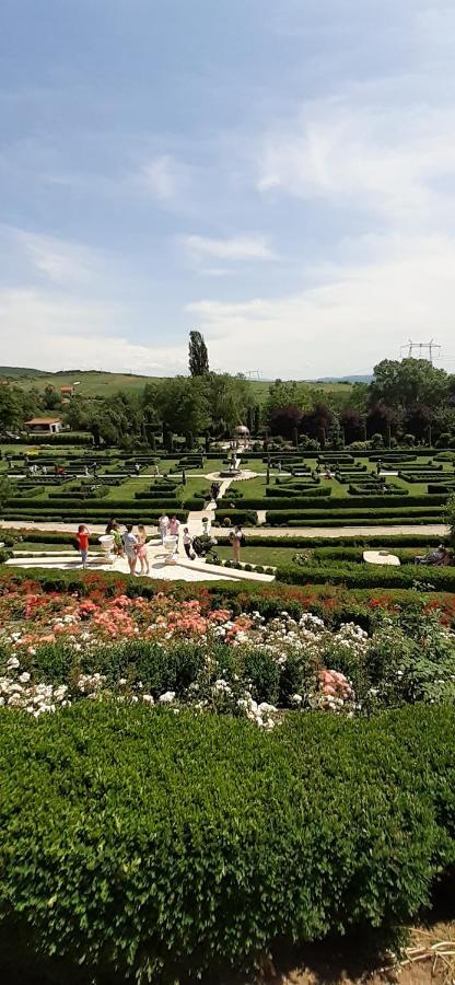 Pensiunea Sura Orăştie Exterior foto